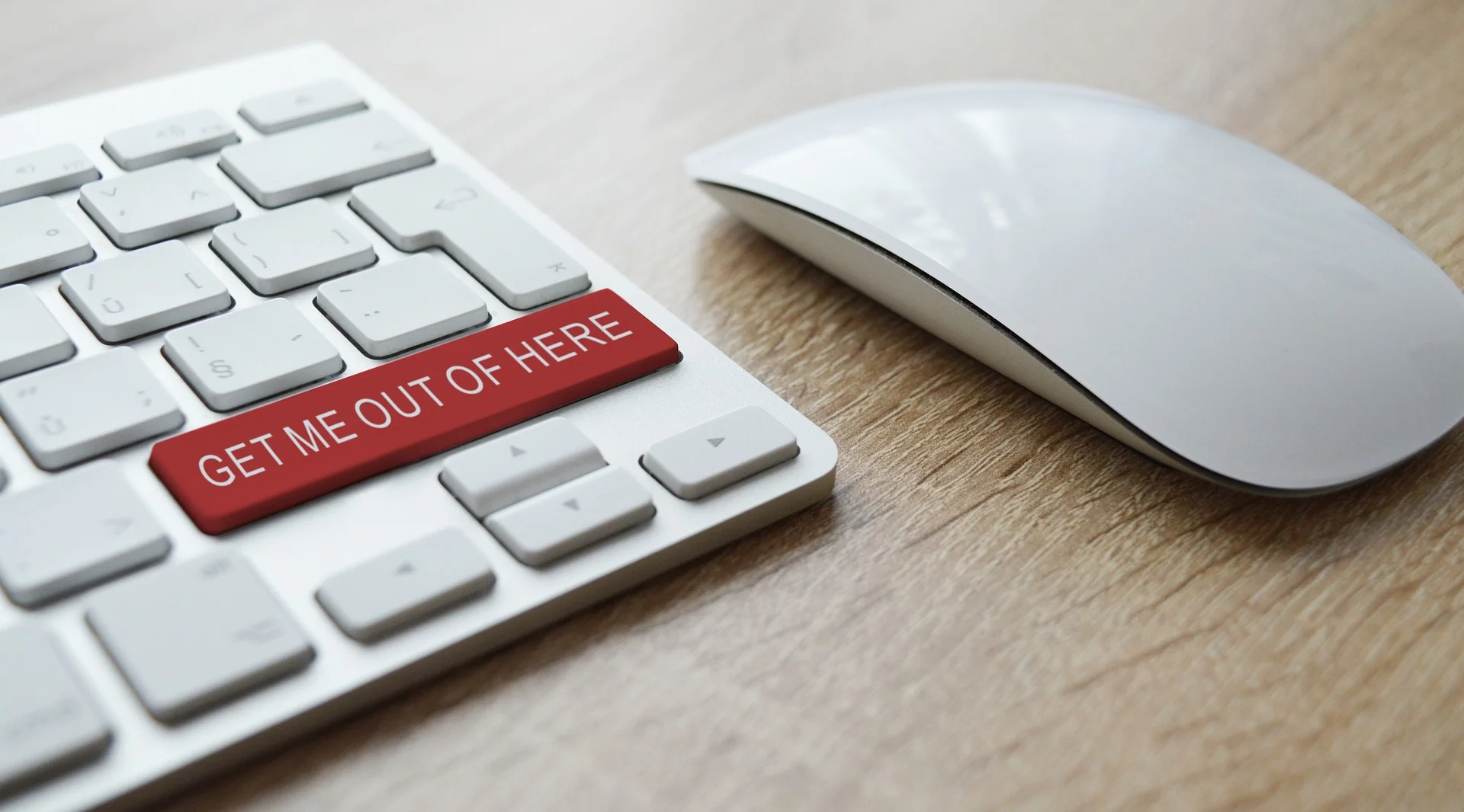 How to Protect Yourself from Timeshare Frauds