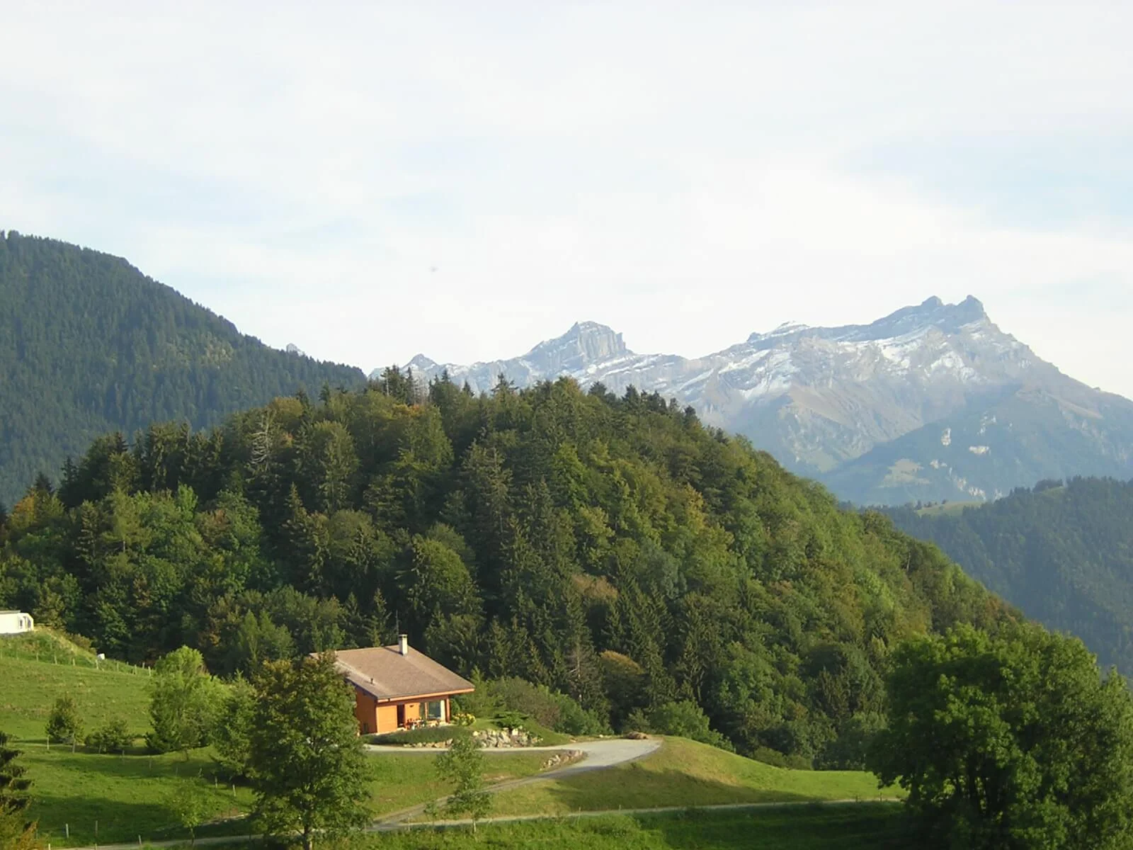 Why People Think Timeshare is a Scam: 5 Perks That are Too Good to be True