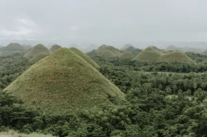 The-Ultimate-Bohol-Guide-for-AVLCI-Members-300x199